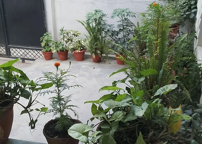 Royal Tourist House Near Tourist Bus Station In Thamel Couette-café 3*